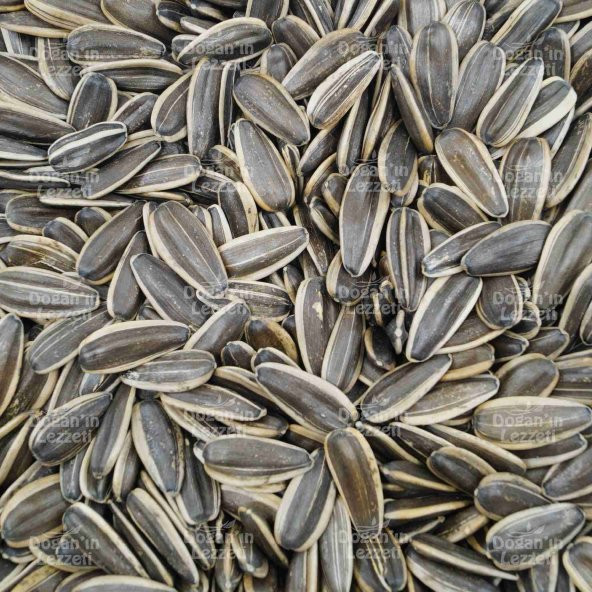 Ay Çekirdeği Yerli Çiğ XL 250 G - 8