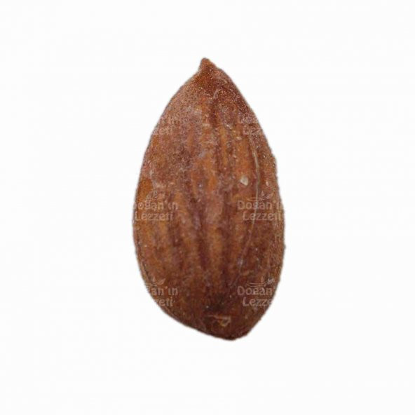 Kayısı Çekirdeği 500 G - Resim 2