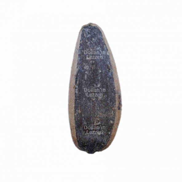 Ay Çekirdeği Yerli Tuzlu XL 500 G - 2