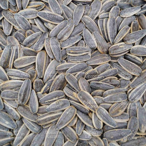 Ay Çekirdeği Yerli Tuzlu XL 500 G - 8