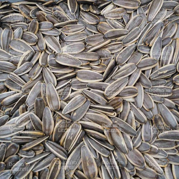 Ay Çekirdeği Yerli XL 500 G - Resim 8