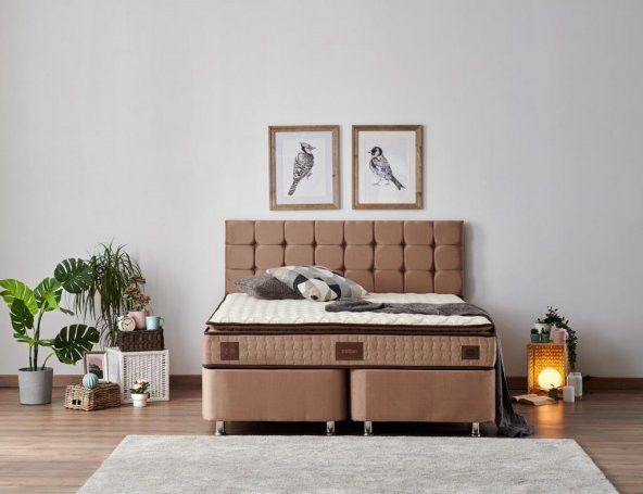 W.Cotton 150x200 Çift Kişilik Pedli Yatak Full Ortopedik Yaylı Yatak - 3