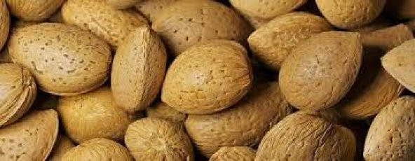 SERT KABUKLU BADEM 1 KG