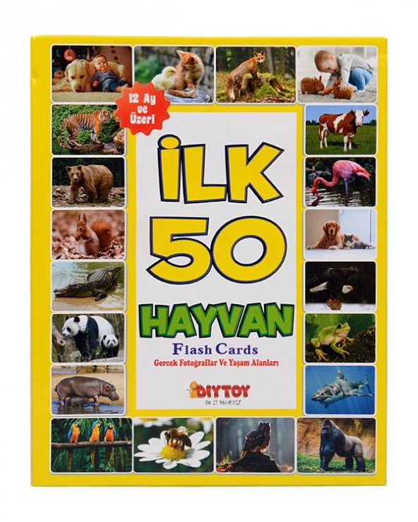 İlk 50 Hayvan Eğitici Eşleştirme ve Bilgi Kartları Diytoy