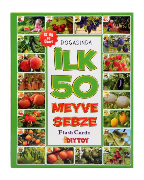 İlk 50 Sözcük Meyve Sebze Eğitici Eşleştirme ve Bilgi Kartları Diytoy