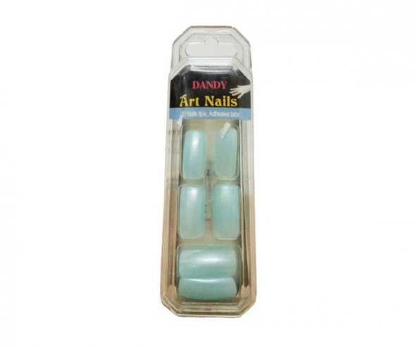 DANDY ARTİST NAİLS 20 NAİLS TAKMA TIRNAK ürün görseli