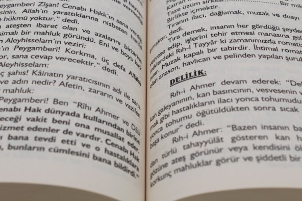Resulullahın Dilinden Dualar Arif Pamuk - Resim 4