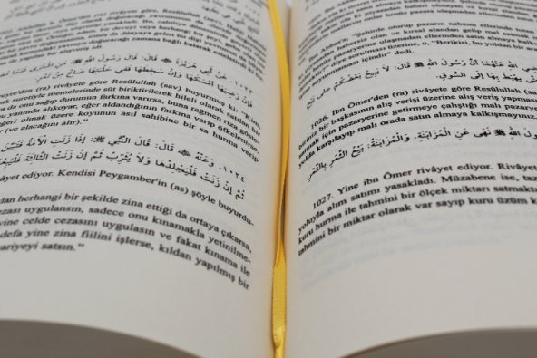 Sahihi Buhari muhtasarı Tecridi Sarih İmamı Buhari - 4