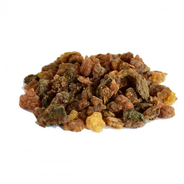 LokmanAVM Doğal Mürsafi Zamkı 100 Gr Paket