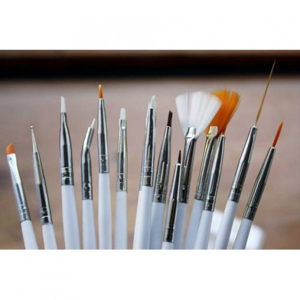 15li Tırnak Süsleme Fırça Seti Nailarts Tırnak Süsleme - 2