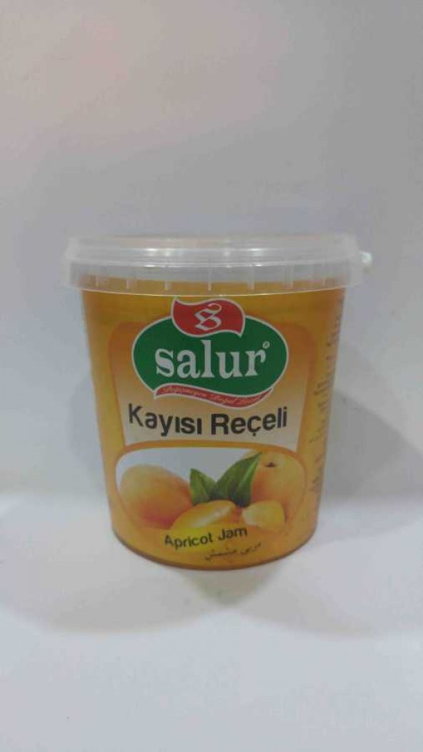 SALUR REÇEL 950GR KAYISI