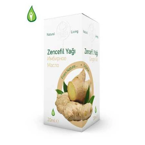 GEBECE ZENCEFİL YAĞI 20CC