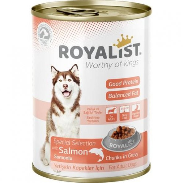 Royalist Dog Somonlu Konserve Köpek Maması 400 GR