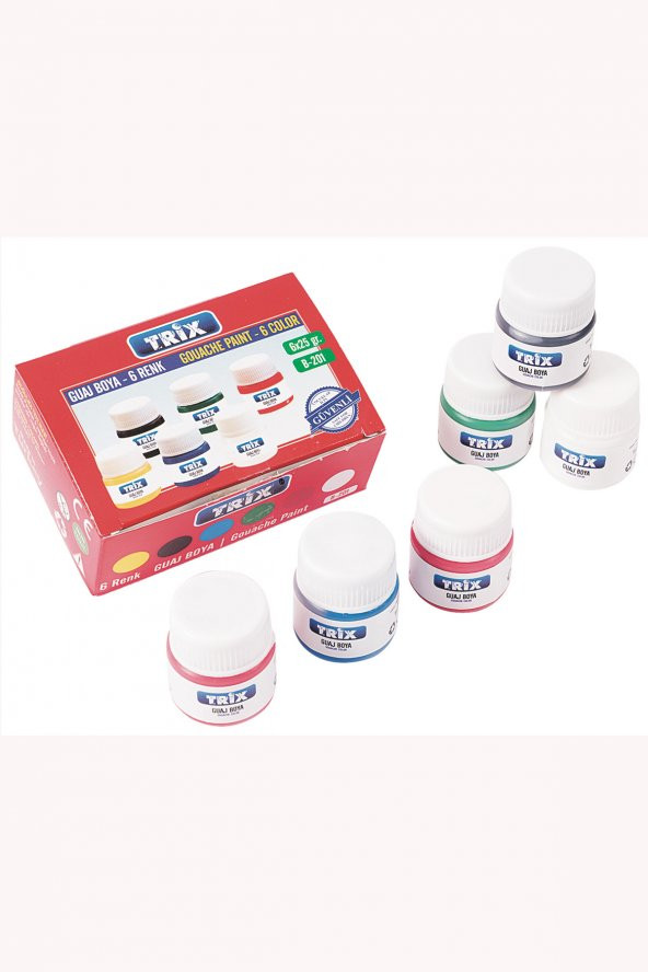 Guaj Boya 6lı Şişe 25  gr - 2