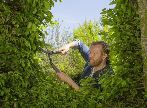 Gardena 12300 Çit Budama Makası NatureCut - 4