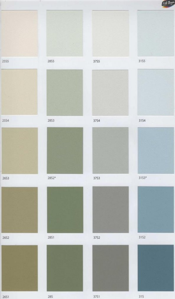 Filli Boya Aqusto Acryl Saf Akrilik Dış Cephe Boyası 15 Lt - 6