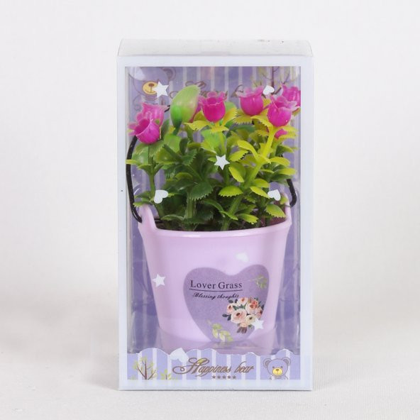 RENKLİ KÜÇÜK KOVALI SAKSI ÇİCEK - Resim 2