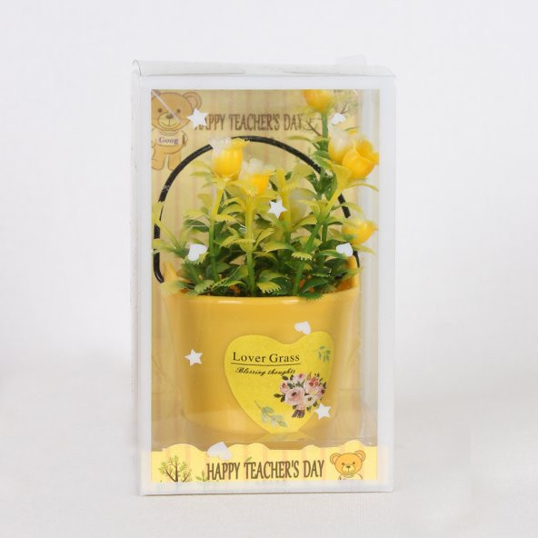 RENKLİ KÜÇÜK KOVALI SAKSI ÇİCEK - Resim 3