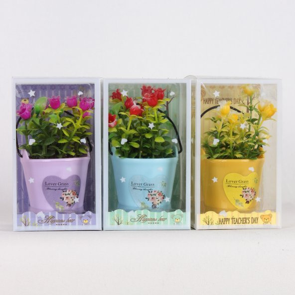 RENKLİ KÜÇÜK KOVALI SAKSI ÇİCEK - Resim 4