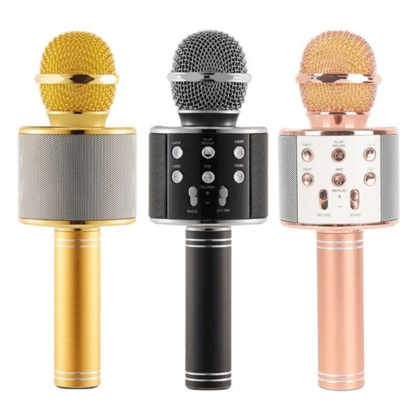 Ses Değiştirme Karaoke Mikrofon Bluetooth Hoparlör PG-116 WS-858
