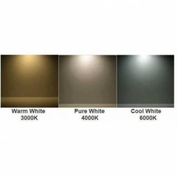 Philips Ledtube 20W 840 T8 Led Floresan Günışığı 4000K 150 Cm - 3