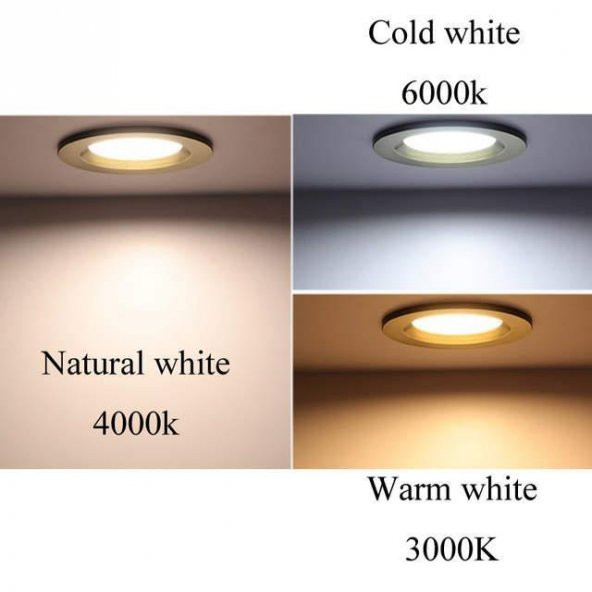 Philips Master PL-L 55W/840/4P Enerji Tasarruflu Floresan Lamba Gün Işığı 54,16 Cm - 10