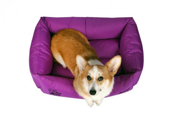 Dubex Gelato Kedi Köpek Yatağı Lila Medium - Resim 2