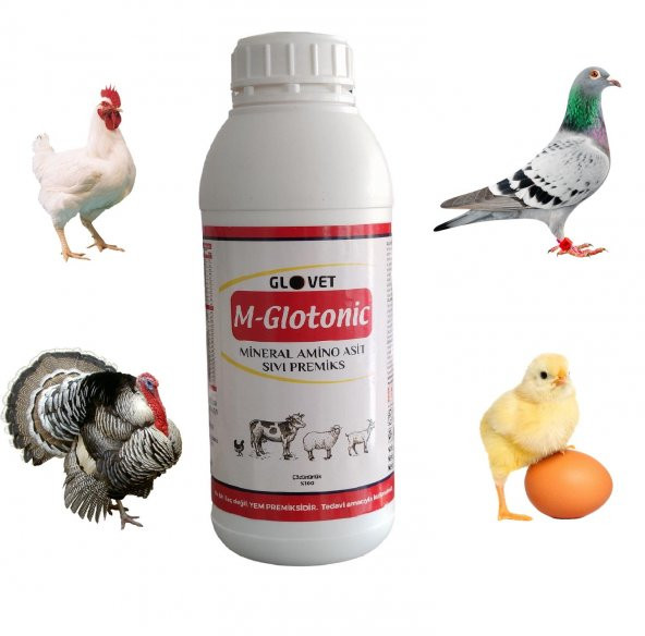 M-Glotonic Vitamin Mineral Premiks Kanatlı Kuş Büyükbaş Küçükbaş Koyun Keçi İnek Boğa Güvercin Tavuk