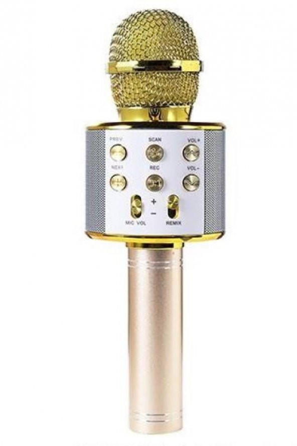 Hytech Gold Karaoke Mikrofon HY-XKSP35