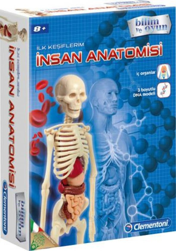 Clementoni Eğitici İlk Keşiflerim İnsan Anatomisi 64297