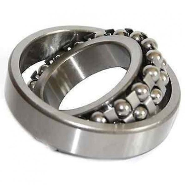 Skf 1204/ETN9 Oynak Bilyalı Rulman 20x47x14 - 2