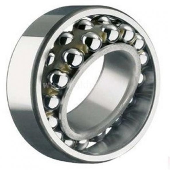 Skf 1204/ETN9 Oynak Bilyalı Rulman 20x47x14 - 1