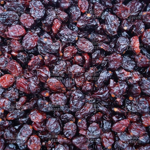 Kızılcık Kurusu (Cranberry) 1 KG - 4