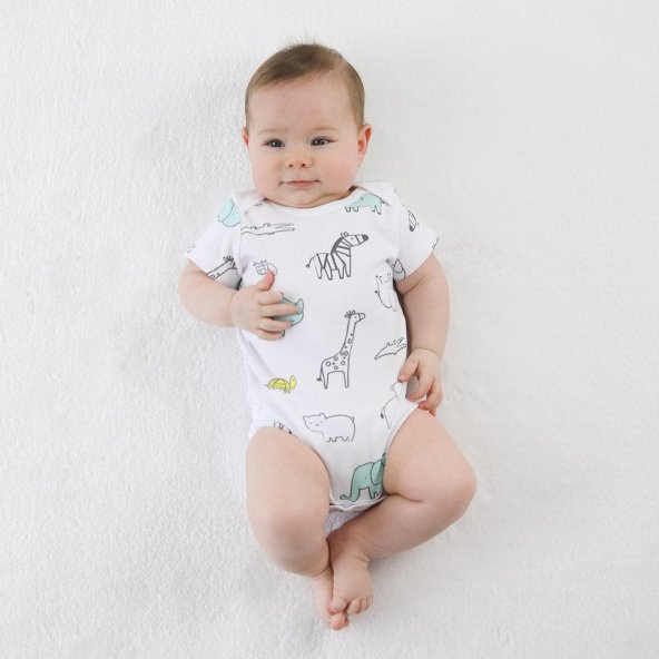 Owli Bebek Body 3lü Set Zoo Zoo