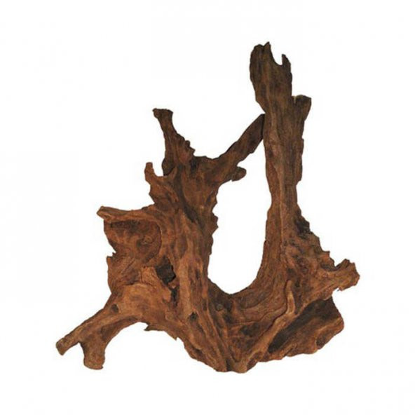 Driftwood Orta Boy SM 18-25 cm Mangrow Kökü Kütüğü