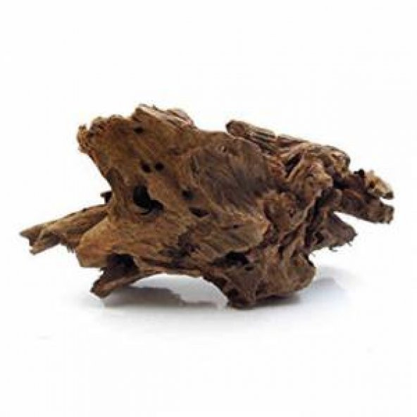 Driftwood Orta Boy L 45-55 cm Mangrow Kökü Kütüğü