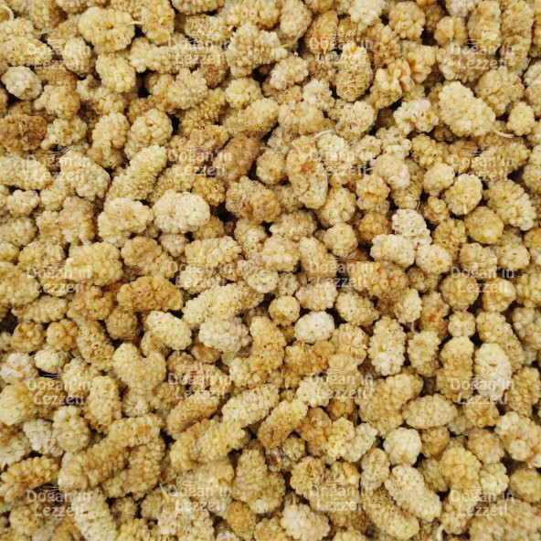 Dut Kurusu 250 G - Resim 4