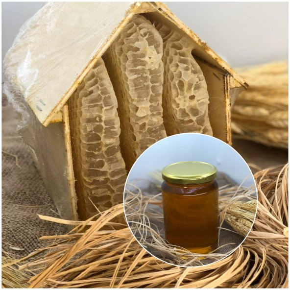 Yayla Gurme Iğdır Doğal Süzme bal 500 GR - 2