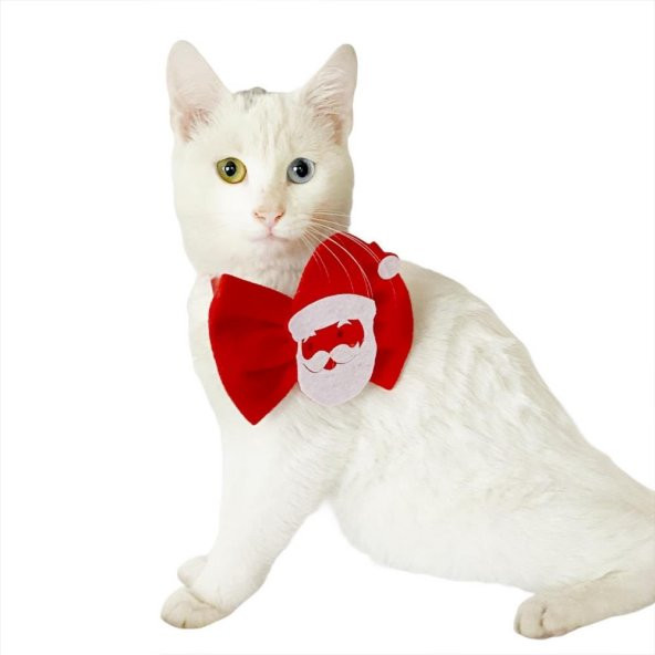 Noel Baba Kedi Papyonu ürün görseli 1