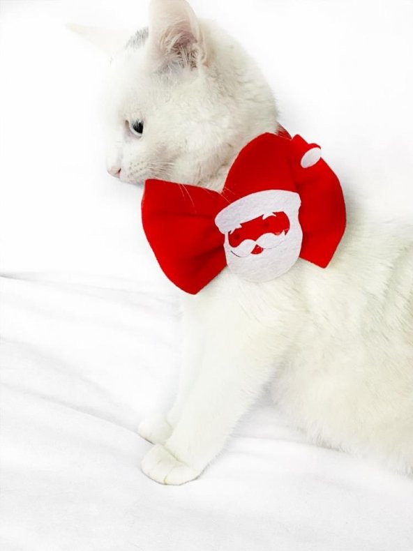 Noel Baba Kedi Papyonu - Resim 3