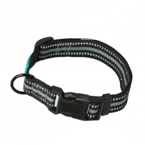 ANS Köpek Boyun Tasması 2,5cm Genişlik, Boynu 46-55cm - 2