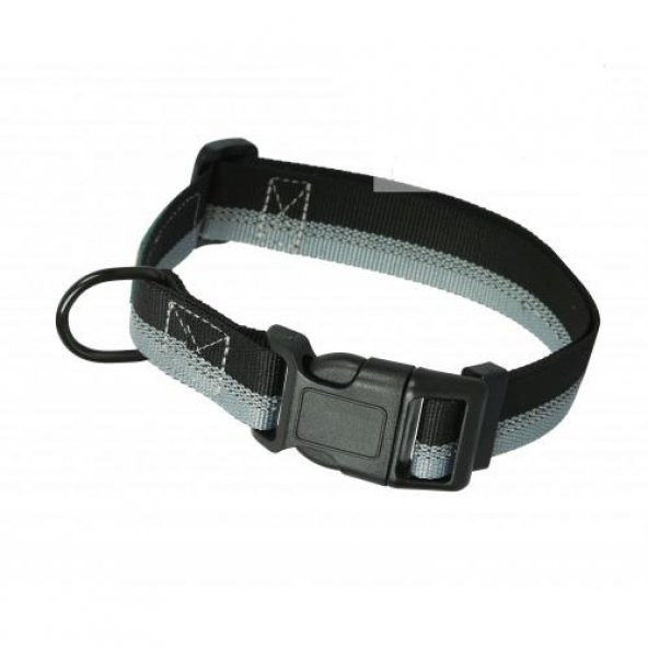 ANS İki Renk Köpek Boyun Tasması 2cm Genişlik, Boynu 38-45cm - 2