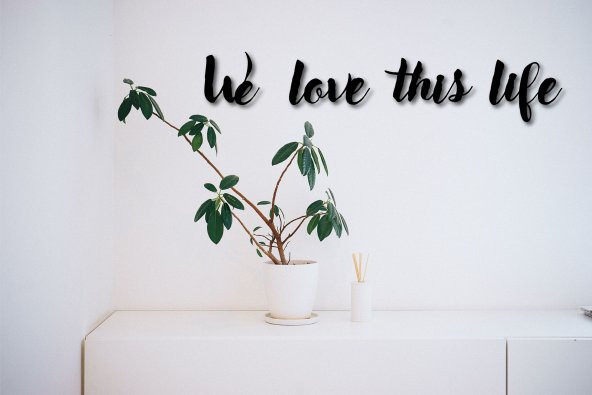 We Love this life - 2