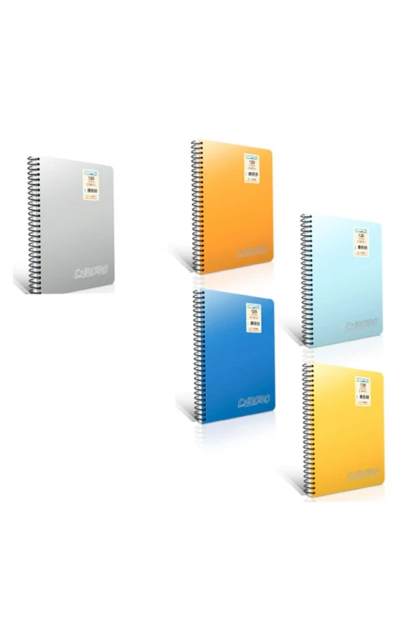 Gıpta Spiralli Defter Chromo Plastik Kapak Çizgisiz 100 YP A4 2065