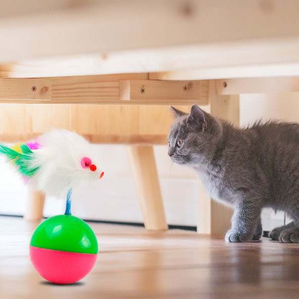 Kedi Oyun Topu İlgi Çekici Fareli Hacı Yatmaz Kedi Egzersiz - 2
