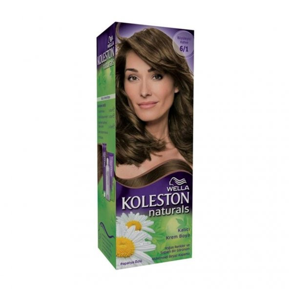 Koleston Naturals  6/1 Büyüleyici Kahve  Kalıcı Krem Boya