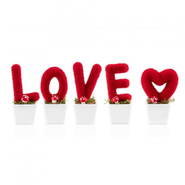 Mini Saksıda Hediyelik Dekoratif Kalpli Love Seti