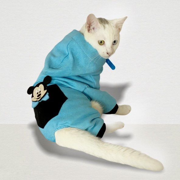 Cute Mouse Blue Kedi Tulumu Kedi Kıyafeti