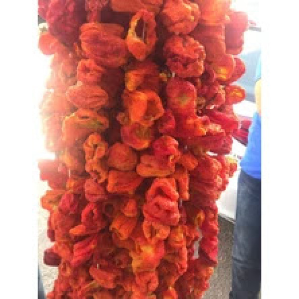 YÖRESEL BAHARAT Tatlı Biber Kurusu 3 ip 135-150 ad - 2