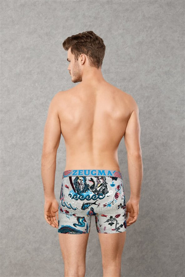 Doreanse 1806 Erkek Boxer - 2